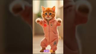 #billi Dan's #kitten lovers 🐾 😺 #cst #ai short