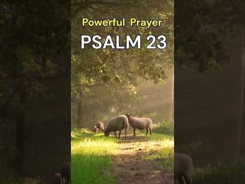 God's Provision and Protection - Powerful Prayer #prayer #morningprayer #devotional
