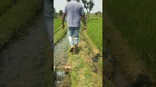 #youtubevideo, #trending, #naresh, #bhoomshiva.