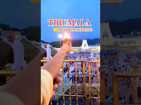 Tirupati Temple Darshan Experience 🙏✨ | Divine Blessings #Shorts
