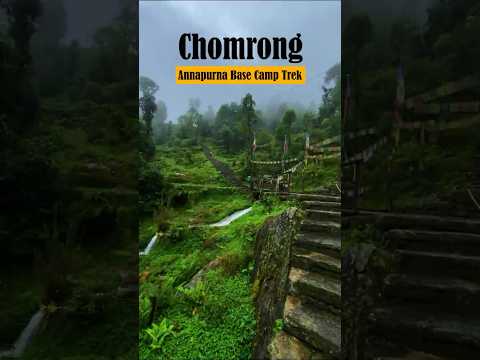 Chomrong’s Stunning Views 😍 | Trek to Annapurna Base Camp | #Shorts