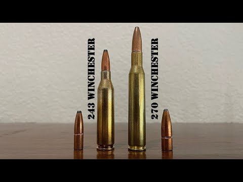 243 vs 270 Winchester Review & Comparison