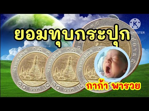 ราคาแพงขนาดต้องยอมทุบกระปุกกันเลย