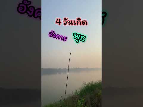 4 วันเกิด ดวงมหาโภคทรัพย์ #ดวงโชคลาภ #ดวงดี #ราศี #ราศีมาแรง #ดวงรายวัน #shorts