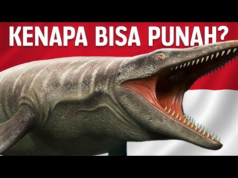 Why These Ancient Reptiles Could Be Extinct From Indonesian Oceans? | #LearnAncientWorld