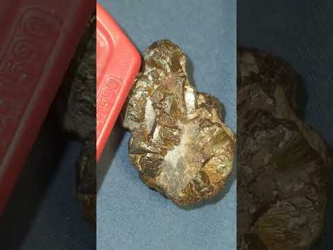 found a weird (rock)in driveway