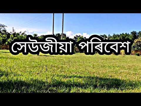 Alakananda song / সেউজীয়া পৰিবেশ / Beautiful Nature / Whatsapp status - Shot by Rebajit Sarania