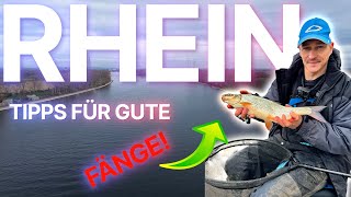 TRICKS ON THE RHINE - THAT BRINGS FISH!