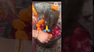 बम भोले #bambholenath #bambholle #mahadev #mahakalstatus #mahakaleshwar #2025 #shorts @ sairadha #yt
