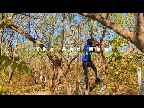 The Axe Man’s Struggle: A Tale of Survival and Dignity