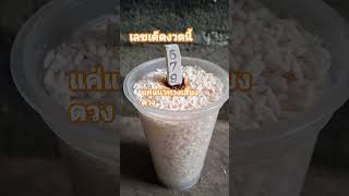 #แค่แนวทาง #เลขรวยทรัพย์ #ธูปพี่สาวต้นไม้ #สลากกินแบ่งรัฐบาล
