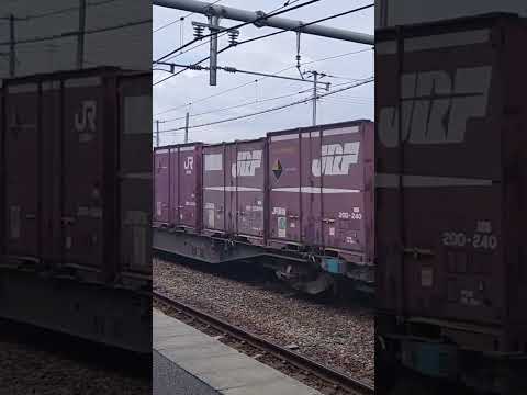 貨物通過#貨物列車 #信越線 #eh200 #鉄道
