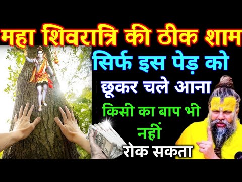 महा शिवरात्रि की ठीक शाम सिर्फ इस पेड़ को छूकर चले आना किसी का बाप भी नहीं | Best motivational video