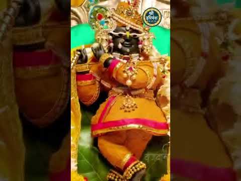 radha raman lal bhajan #vrindavan_bhakti #shorts #viral #trending