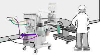 Low-flow Anesthesia Series: Dilution Effect of Rebreathing