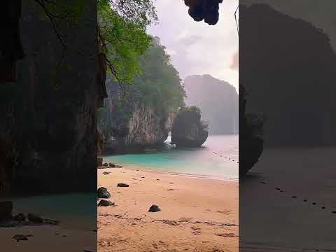 Phi phi island #thailand #travel