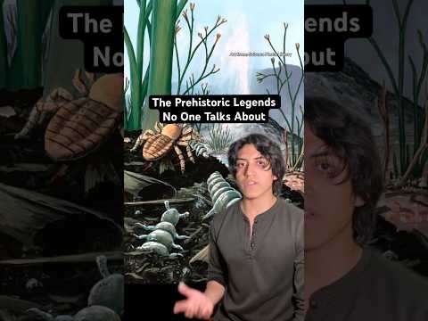 #prehistoric #animals #nature #evolution #insects