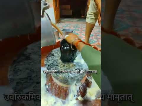 काल हर, दुःख हर, दारिद्र हर, कष्ट हर, रोग हर, #हर हर महादेव 🙏 #bhakti
