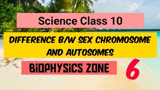 Difference Between Sex Chromosome and Autosomes |Class 10 | Chapter 9 | NCERT