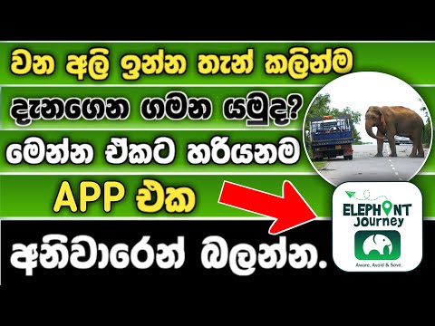 Elephant Journey App Review Sinhala – ඔබේ ආරක්ෂාව සඳහා අත්‍යවශ්‍ය App එකක්! 🐘📱| Madushan Technic LK
