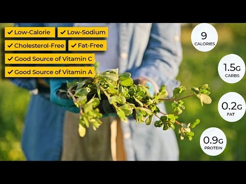 8 Amazing Benefits of Purslane: Transform Your Garden & Health!