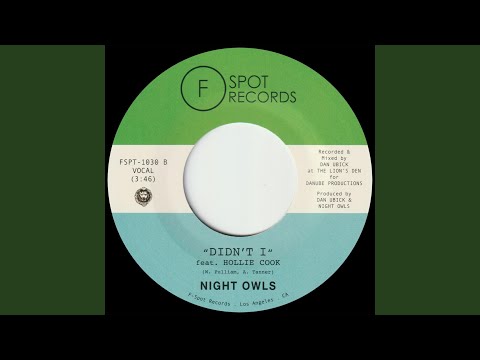 Didn't I (feat. Hollie Cook)