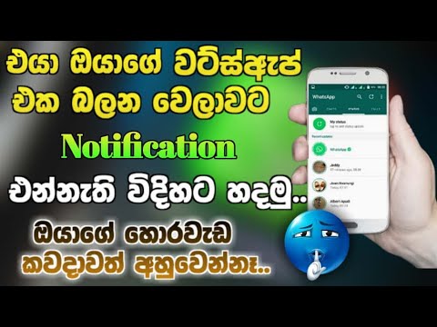 How To Use WhatsApp Proxy Setting 2025 😍 | New WhatsApp Update Sinhala | WhatsApp Features Sinhala