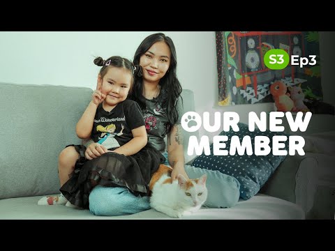 Engulen | Our New Member | Season 3