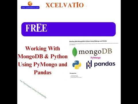 Learn Python Programming | Xcelvations #shorts  #xcelvations #computerprogramming #education