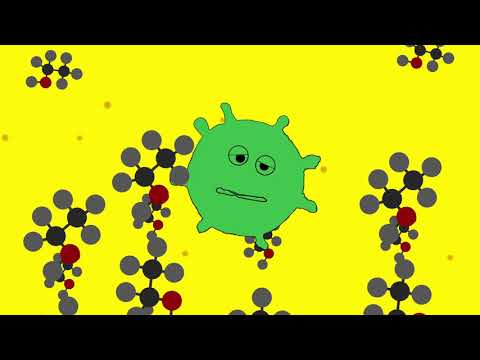 Malolactic Fermentation