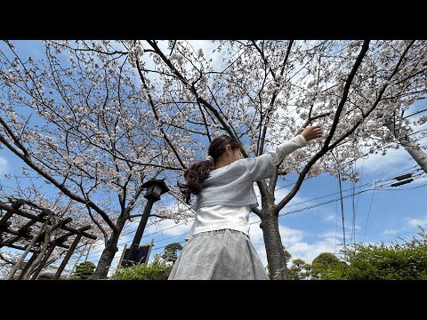［マラソンチャレンジ］「甘楽町さくら🌸マラソン」１週間前...MOMOくん　500M×2本