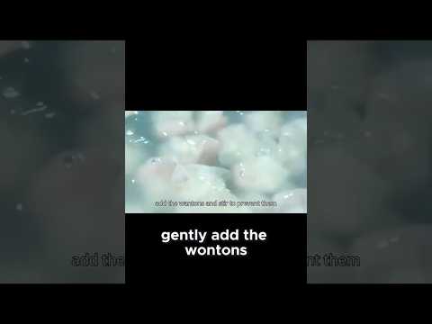 Cooking Wontons  Tips for Perfect Results!