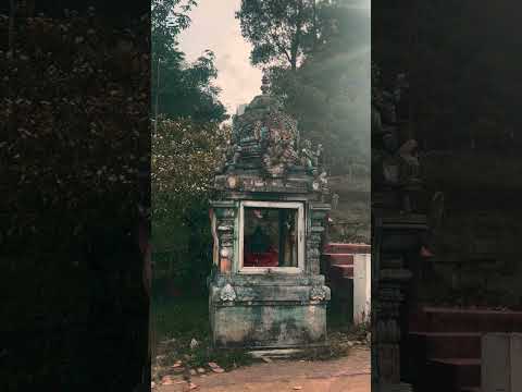 ගමක සිරිය ❤️😩🥺 #Aththanagoda ගමේ ලස්සන දන්නෙ ගමක ඉන්න අය විතරයි 😍🥹