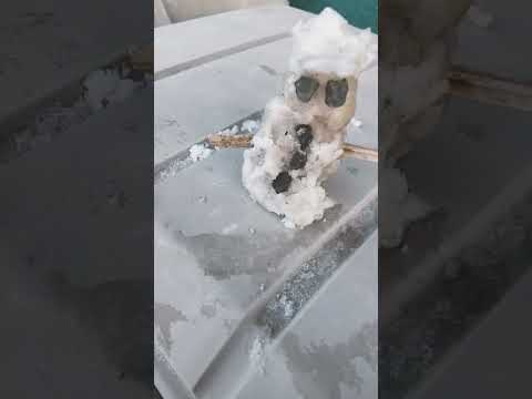 人生初めての雪だるま                             手が死んだ