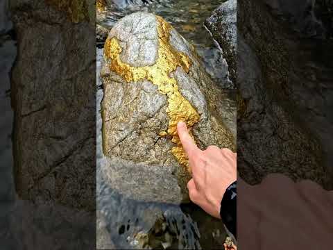 Natural Gold Vein on Rock🪙😮
