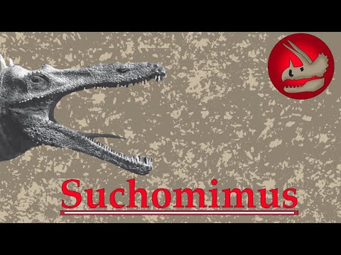 Suchomimus | The Crocodilian Carnivore of Africa