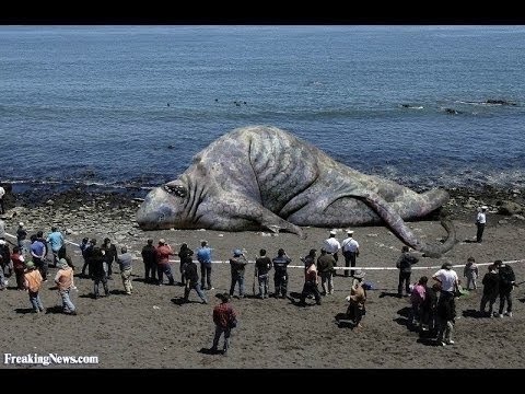 Searching For Sea Monstersfull documentaryHD