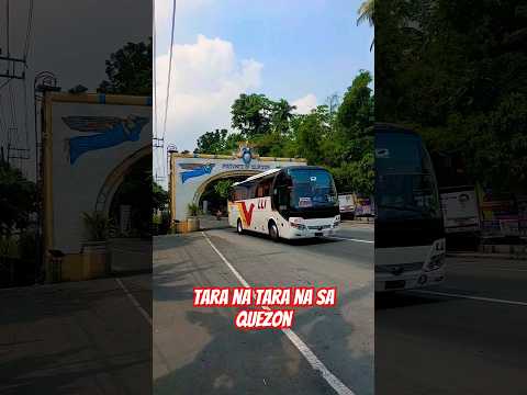 Tara na Tara na sa quezon.🌿 #viralvideo #taranasaquezon