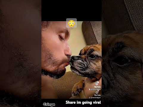 Tiktok dog does something unexpected #tiktok #chicago  #china #minecraft #money #dog #pets