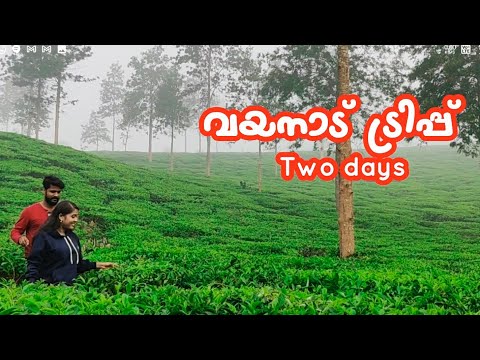 WAYANAD TRIP KERALA TOUR | TWO DAYS |SREENA SUJITH | SUJITH C P PRAPOYIL