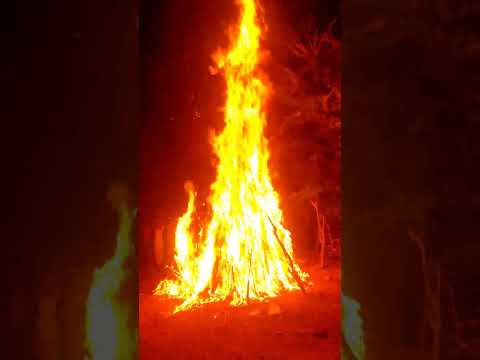 Holika Dahan @village #holi #holikadahan #shorts #festival #culture