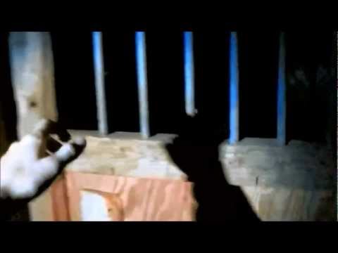 Slender Man Trailer 2013 [HD]