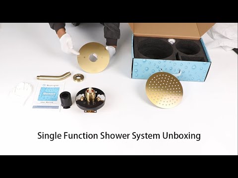 Unboxing Bostingner Single Function Shower System Gold