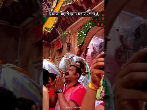banke bihari ji darshan #trending #bhajanmarg #viral #shortsfeed