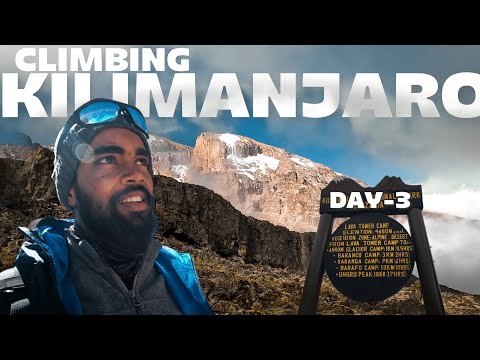 Climbing Kilimanjaro || Day 3 || Telugu Vlog