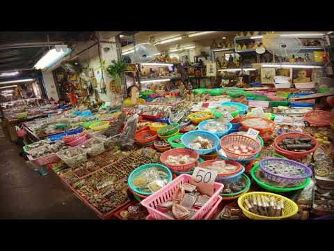 Walking through the Tha Phra Chan amulets market in Bangkok, Thailand. (ท่าพระจันทร์)