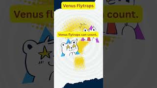 Fun General Knowledge for Kids! 🤓🌍 | Learn in Seconds! #DidYouKnow – Set 15
