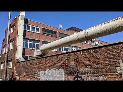 Livestream von Zoi