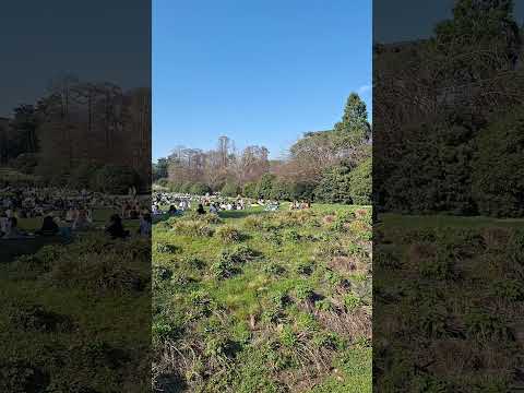 Arco Della Pace #milan#italy