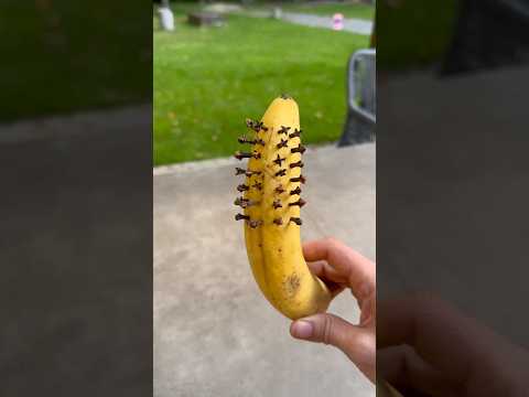 This Banana Peel Recipe Can Cleanse Your Liver and Boost Immunity #healthytips #recipe #shorts